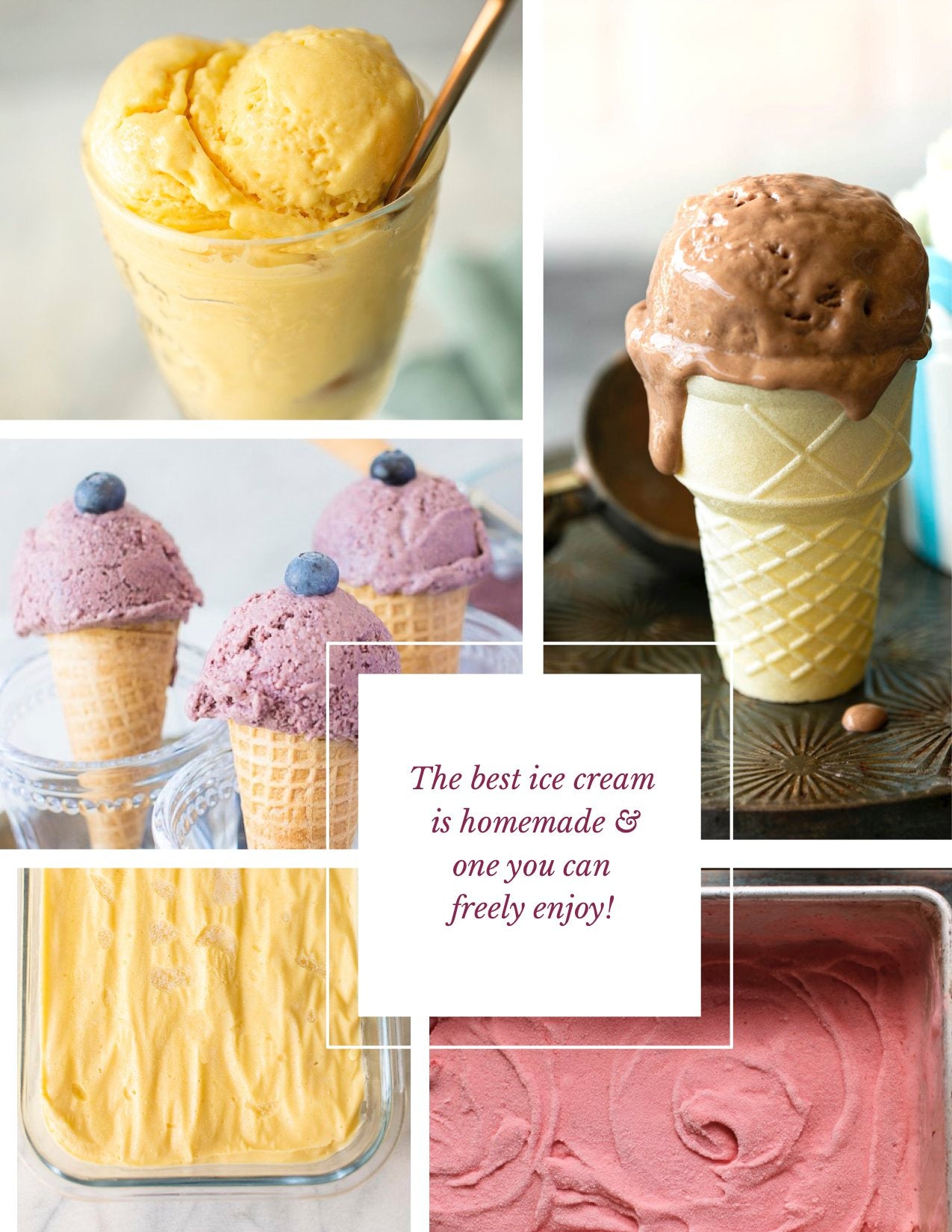 No-Churn Vegan Ice Creams E-Book