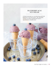 No-Churn Vegan Ice Creams E-Book