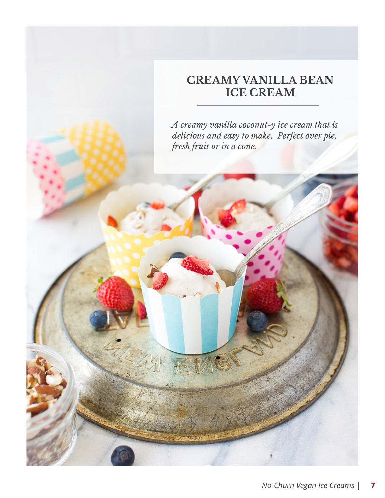 No-Churn Vegan Ice Creams E-Book