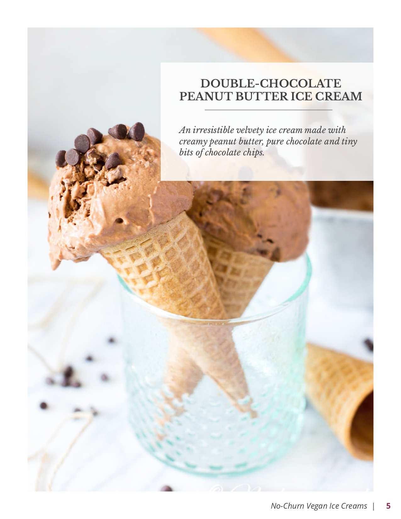 No-Churn Vegan Ice Creams E-Book