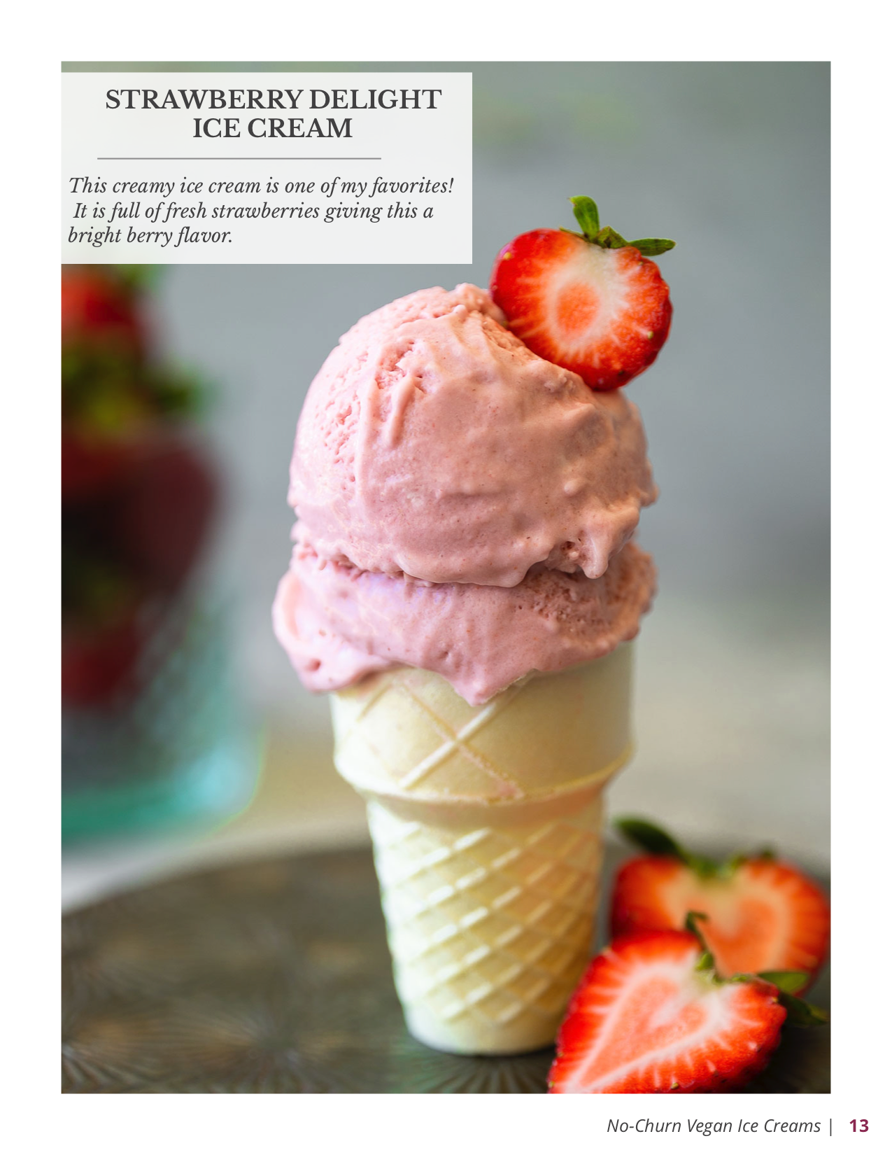 No-Churn Vegan Ice Creams E-Book